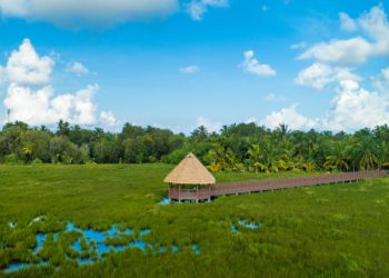 Climate Adaptation in a Business Context: What does it mean for your business?